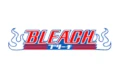 Bleach Logo