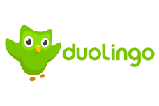 Duolingo Panne